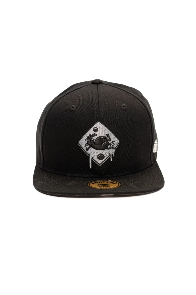 40by1 - Logo Cap